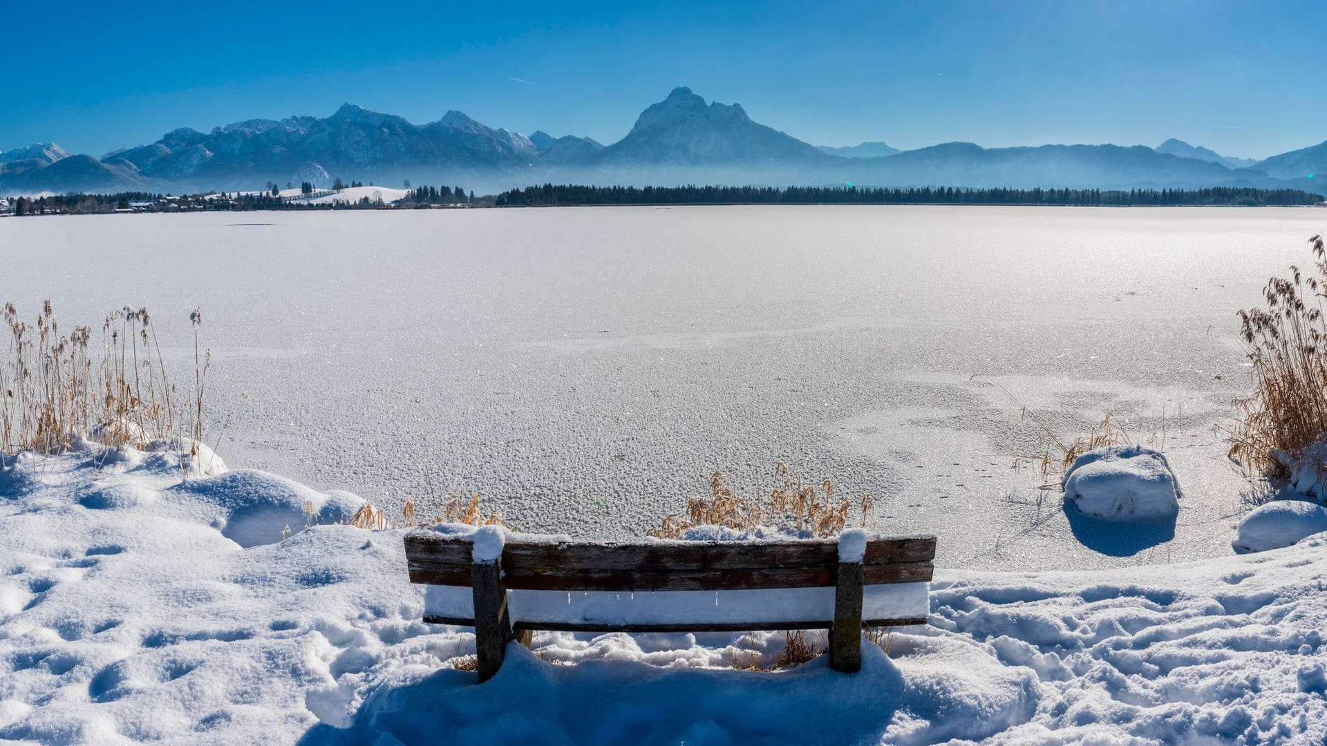 Der zugefrorene Hopfensee Anfang Januar: Der Urlauber wollte das eindrucksvolle Panorama für Fotos nutzen.