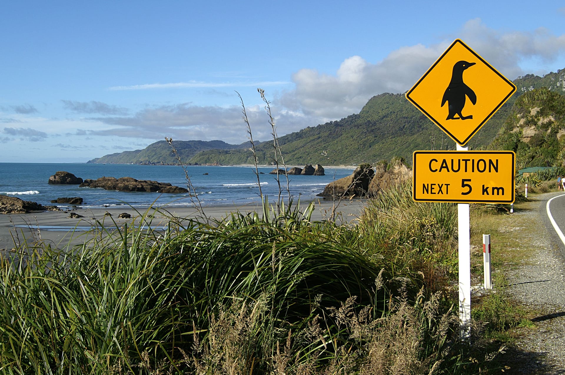 Penguins crossing sign