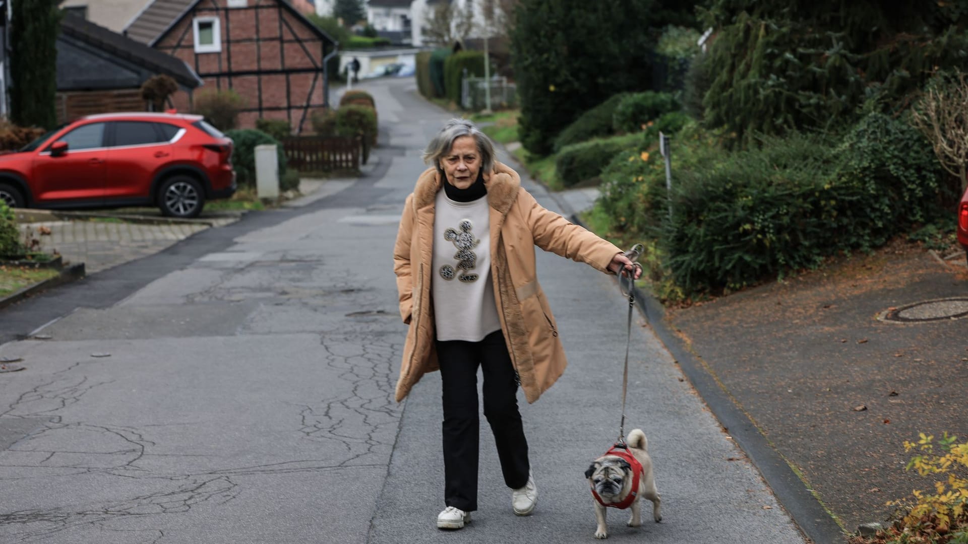 Demenz bei Haustieren - Mops Olli