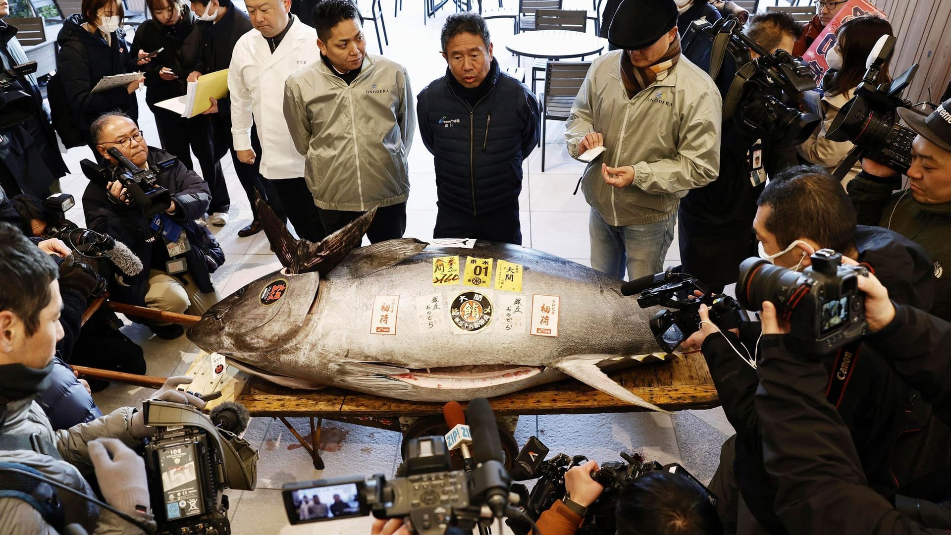 Japanische Thunfisch-Auktion