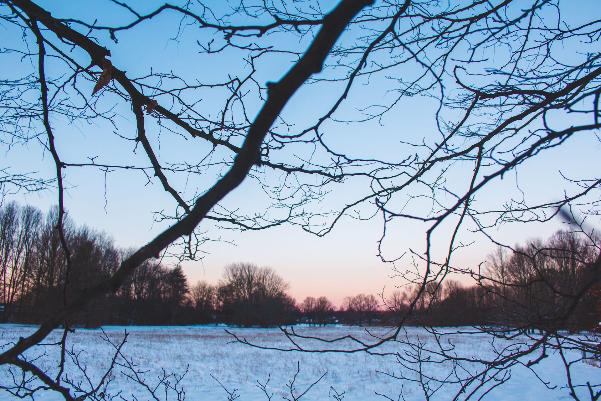 Schnee in einem Park in Braunschweig (Archivbild): Wetterdienst warnt vor glatten Straßen.