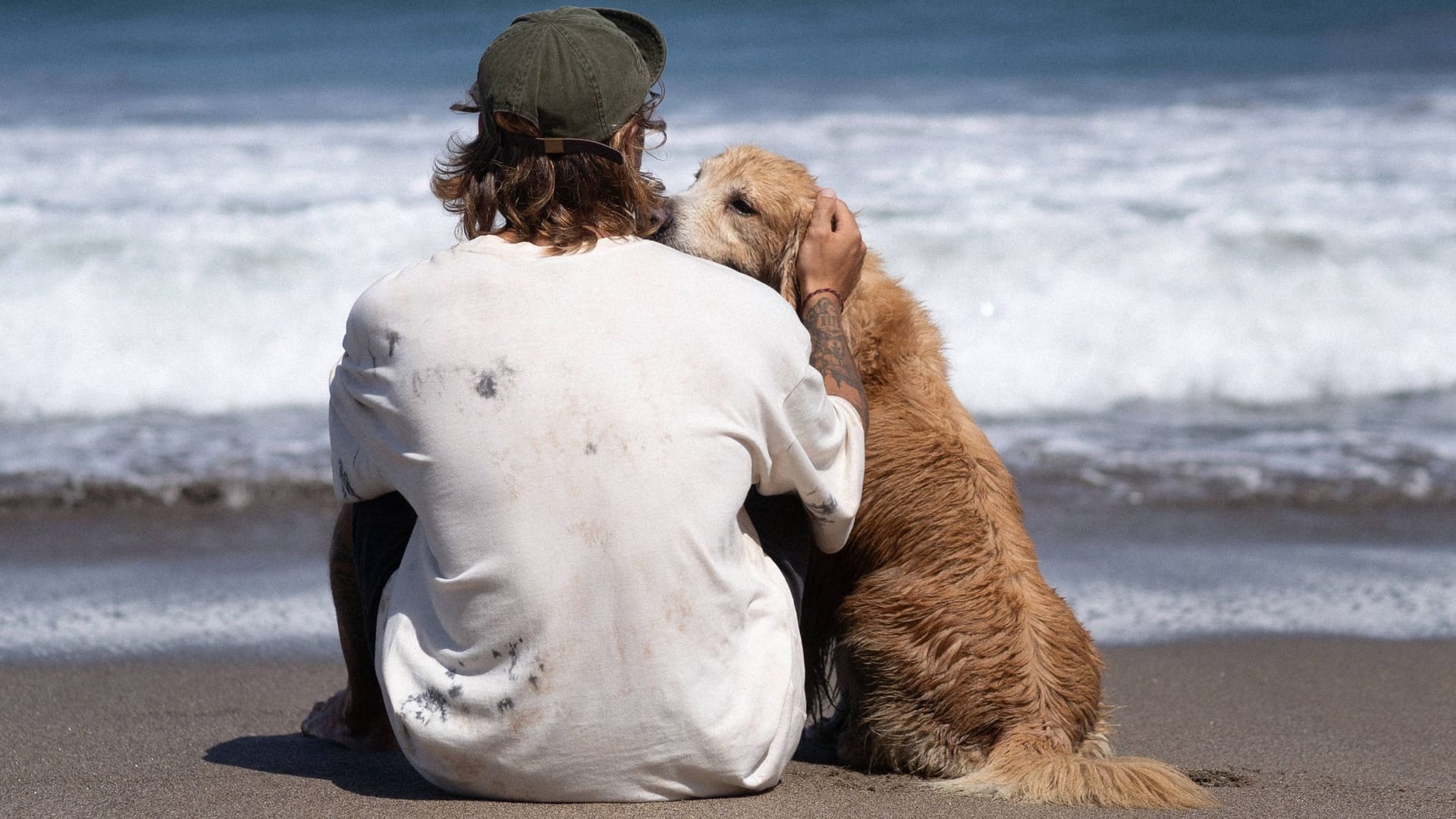 Vertrauensvoll: Golden Retriever gelten als gute Familienhunde.