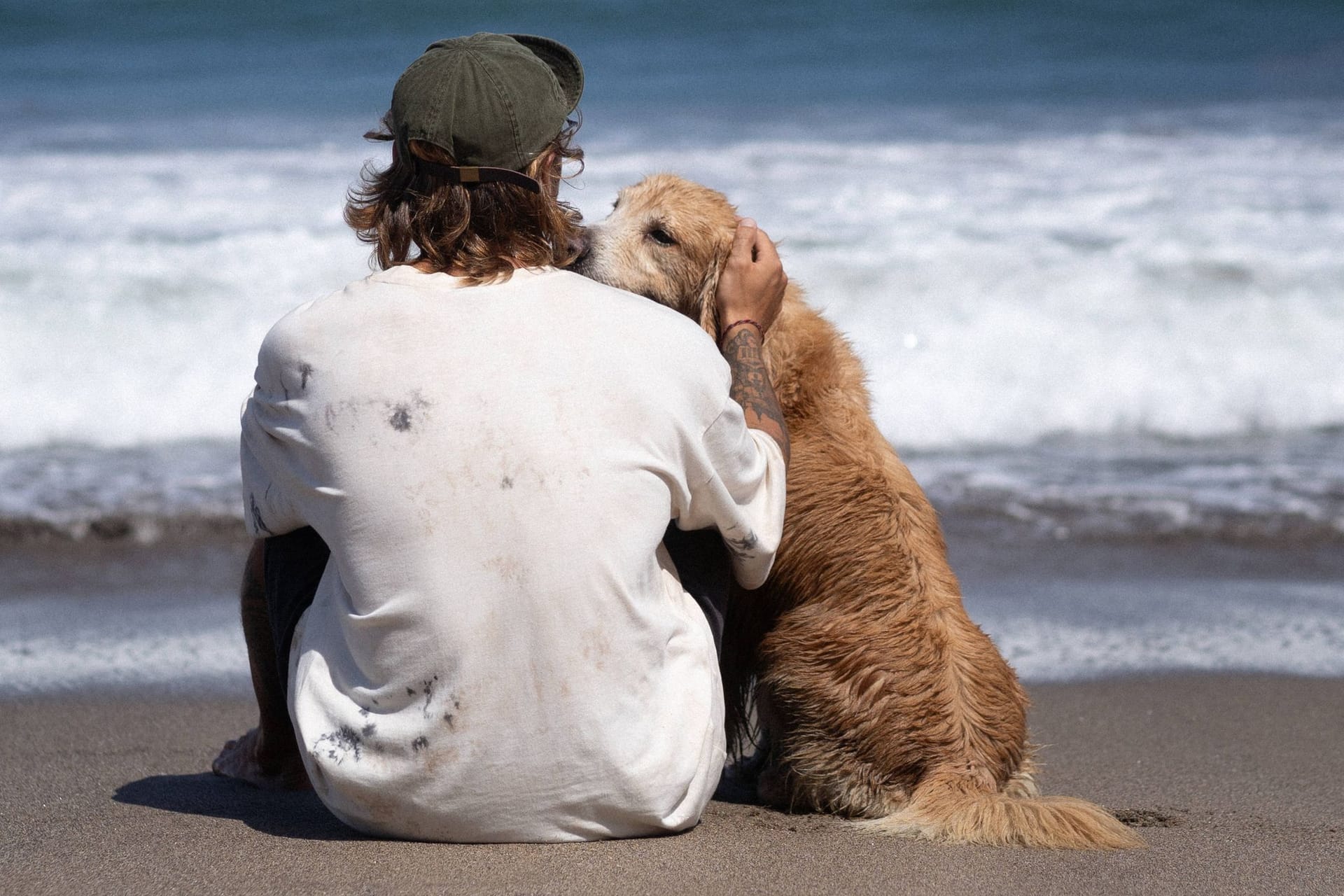 Vertrauensvoll: Golden Retriever gelten als gute Familienhunde.