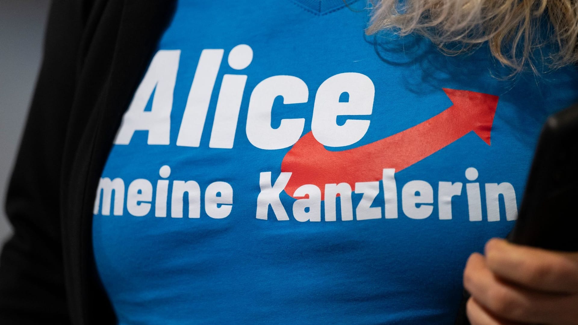 AfD-Bundesparteitag in Riesa