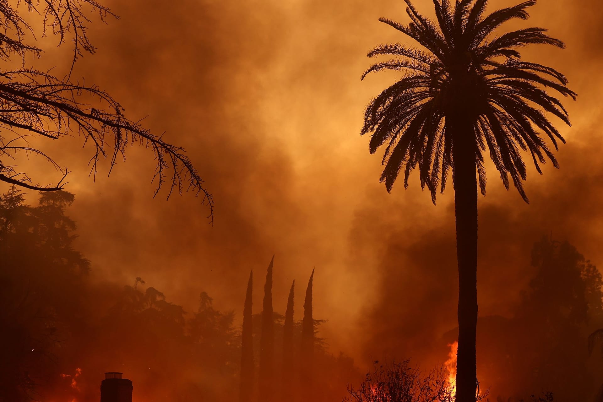 Verheerende Feuer wüten aktuell in Los Angeles.