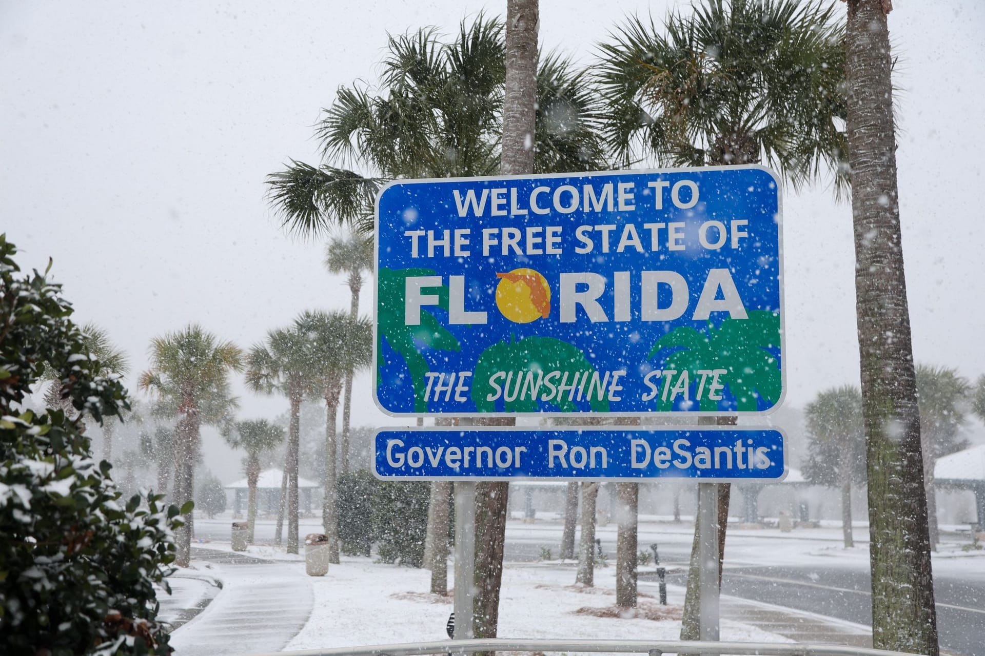 Schnee in Florida - Kältetote in Texas