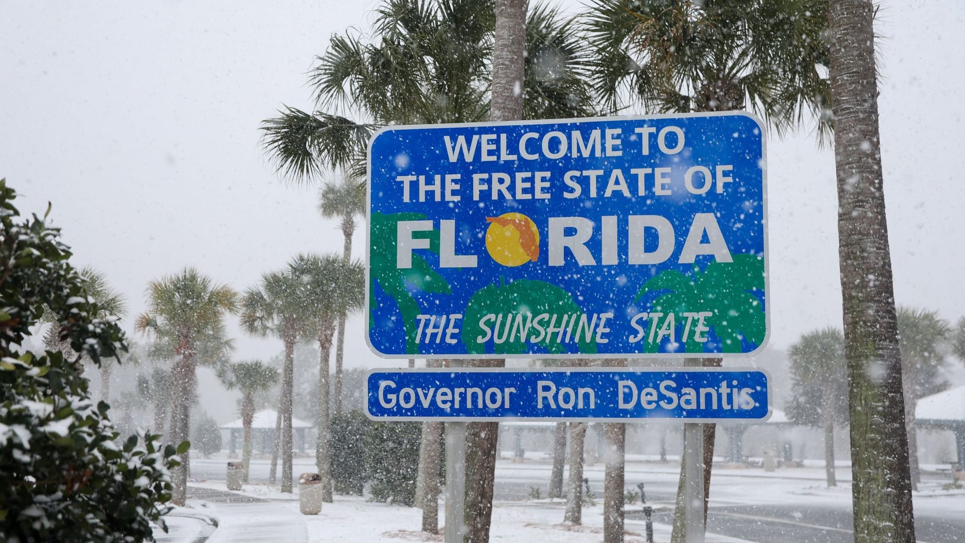 Schnee in Florida - Kältetote in Texas