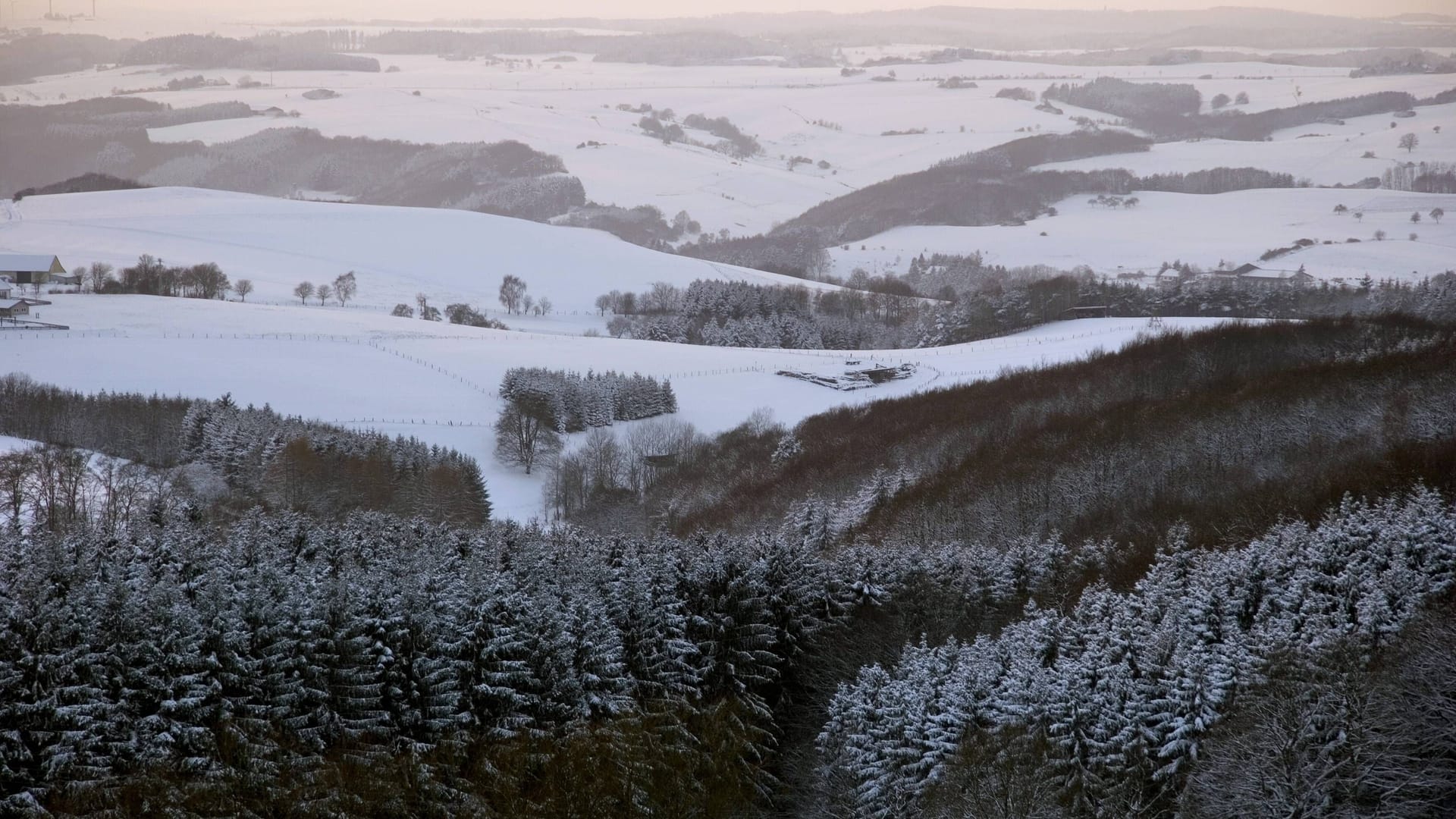 Die Wälder am Michelsberg sind ideal für Rundwanderungen.