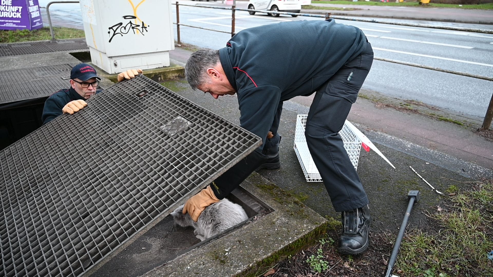 Feuerwehr rettet verletzte Katze: Das hier hatte sich in einem S-Bahnschacht herumgetrieben.