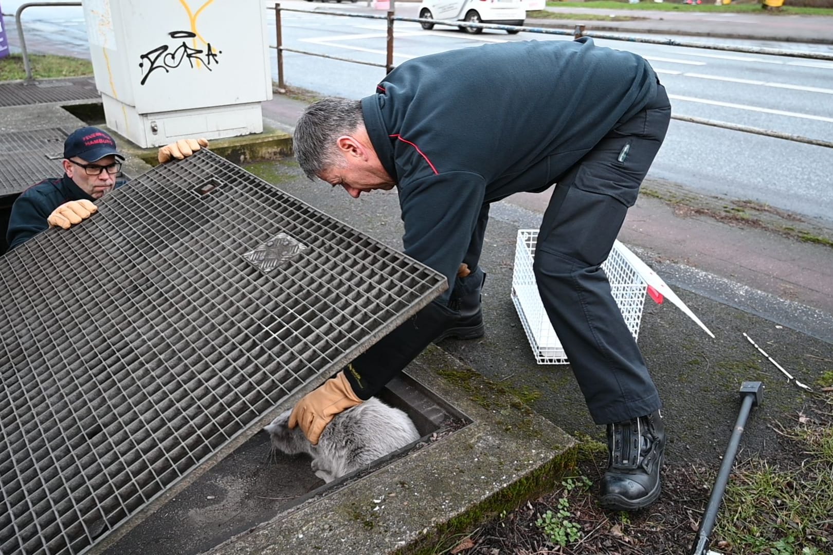 Feuerwehr rettet verletzte Katze: Das hier hatte sich in einem S-Bahnschacht herumgetrieben.