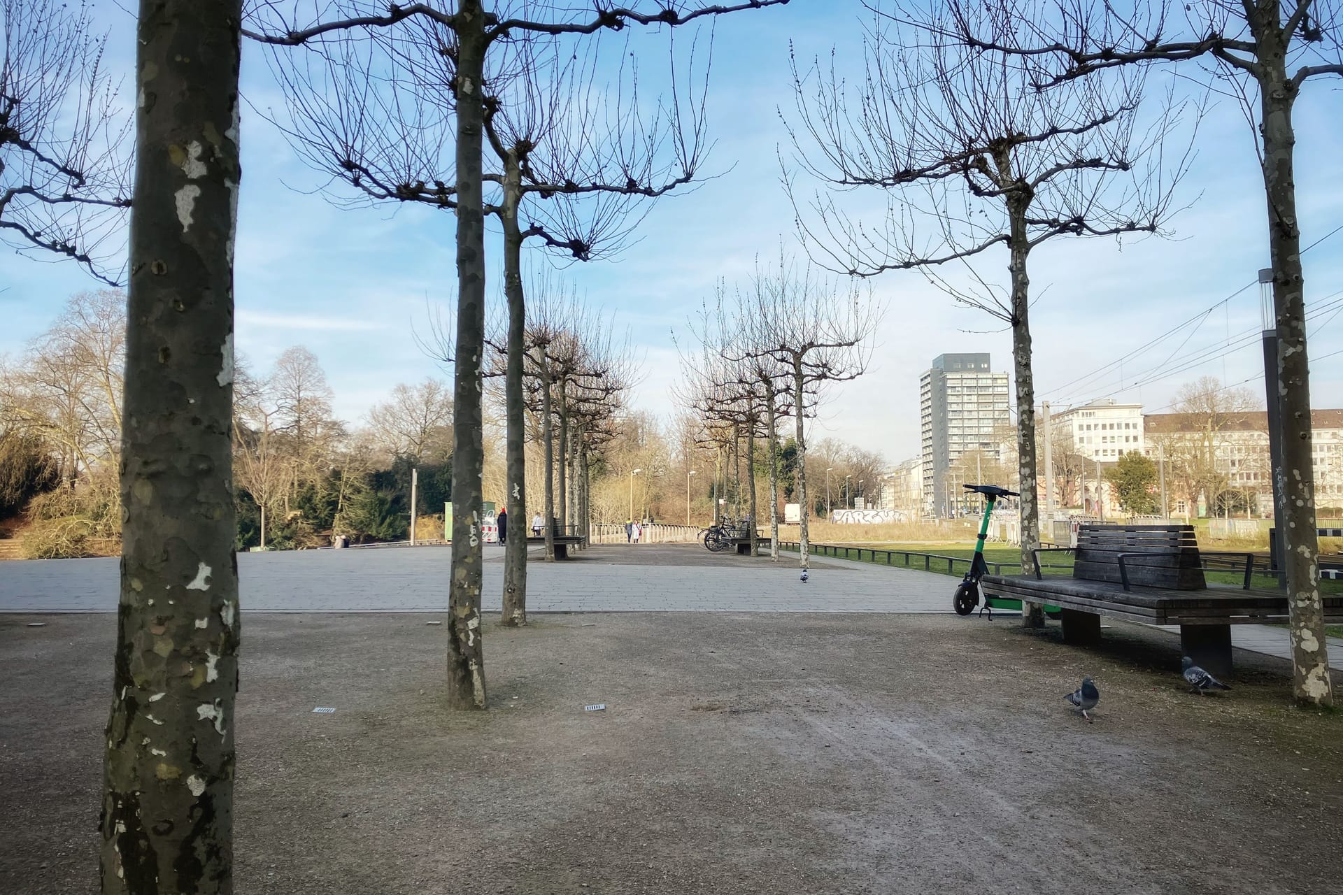 An das fertige Teilstück der Hofgartenpromenade mit 140 Platanen und 28 Bänken schließt sich der restliche Teil an: Voraussichtlich bis zum Sommer wird er fertig sein.