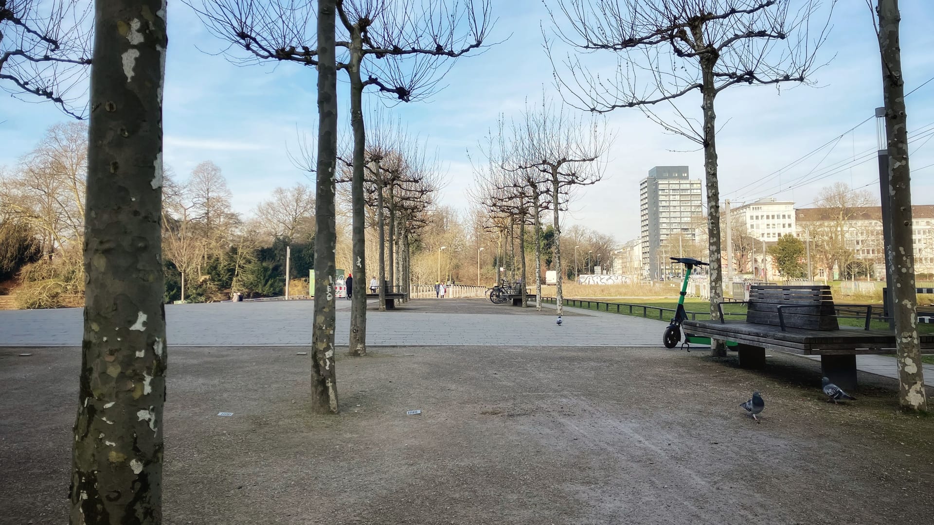 An das fertige Teilstück der Hofgartenpromenade mit 140 Platanen und 28 Bänken schließt sich der restliche Teil an: Voraussichtlich bis zum Sommer wird er fertig sein.