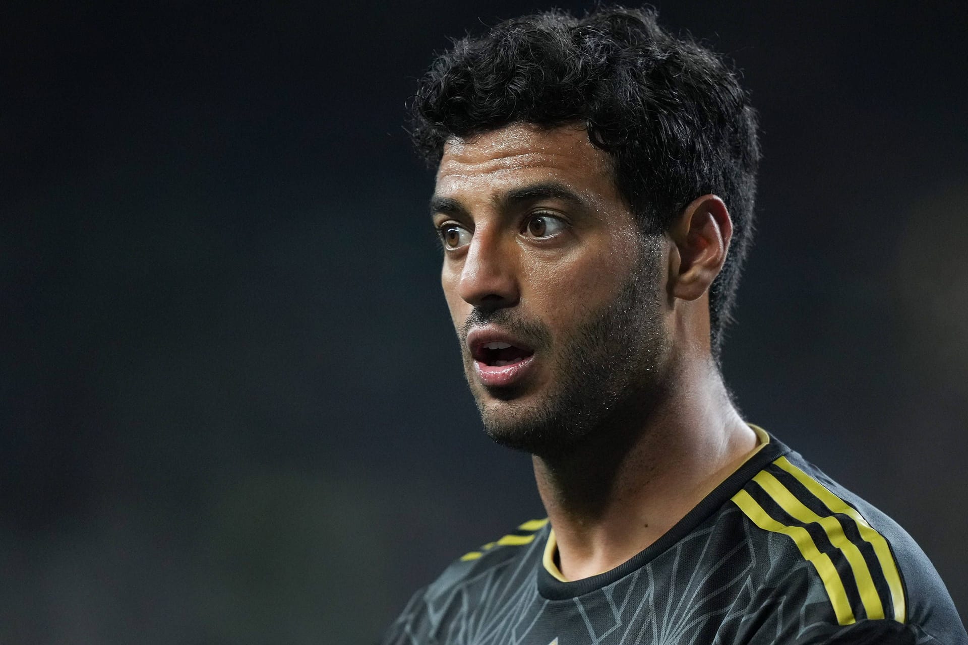 Carlos Vela: Der Mexikaner spielte früher für den FC Arsenal.