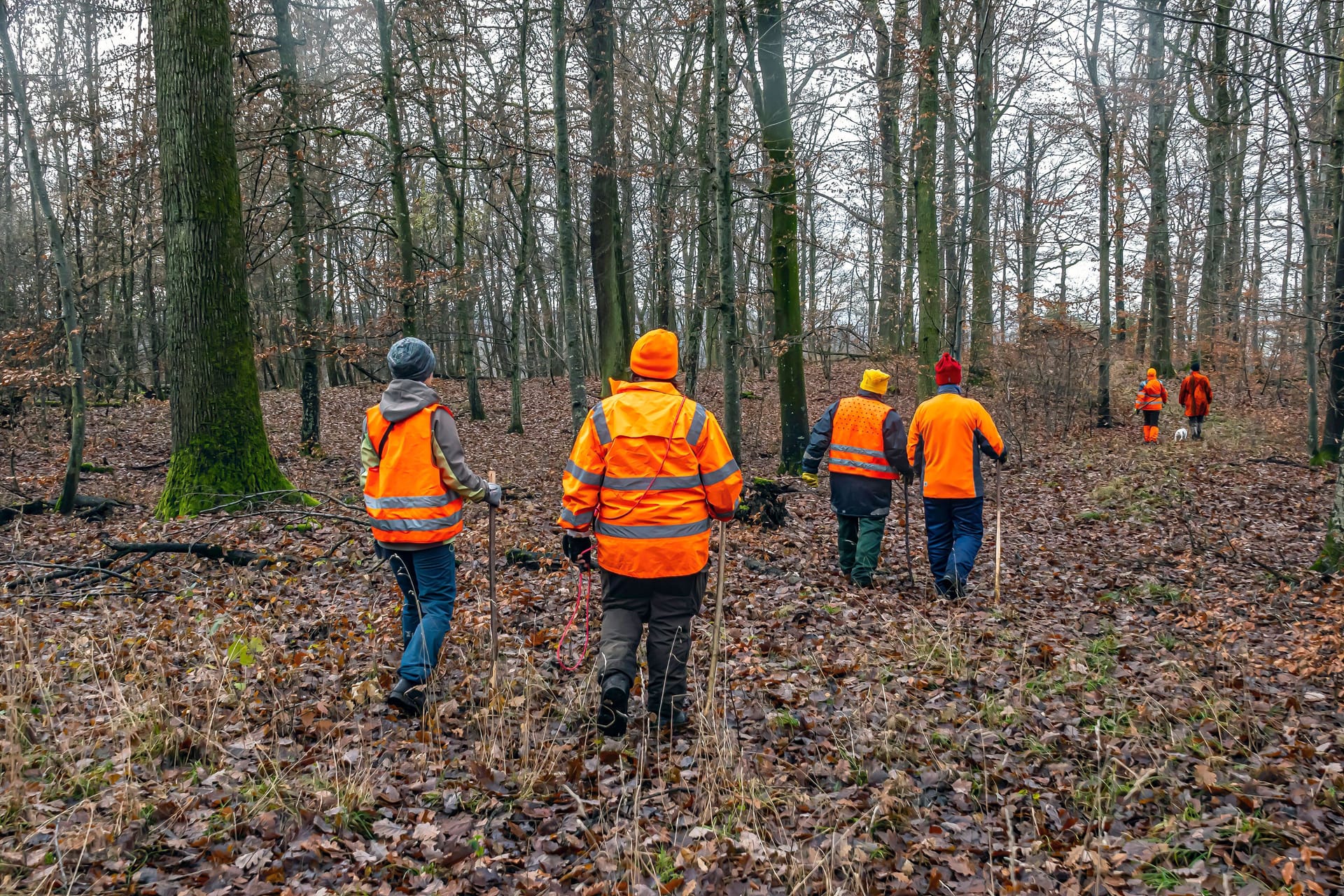 Teilnehmer einer Treibjagd (Symbolbild): Im Landkreis Osnabrück lag ein Toter im Wald.