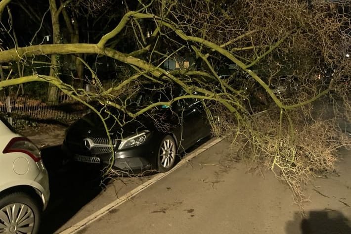 Der Sturm sorgte für zahlreiche Schäden: 110 Einsätze beschäftigen die Feuerwehr in Dortmund.