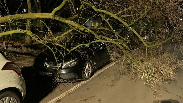 Der Sturm sorgte für zahlreiche Schäden: 110 Einsätze beschäftigen die Feuerwehr in Dortmund.