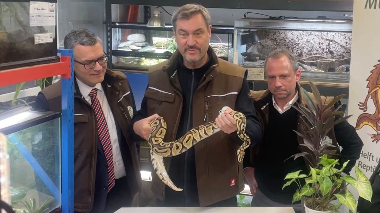 Markus Söder (m.) mit einer Königspython. Der Politiker war gemeinsam mit Florian Hermann (l.) und Thorsten Glauber (r.) in einer Einrichtung für Reptilien zu Gast.