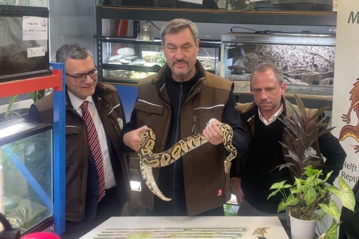 Markus Söder (m.) mit einer Königspython. Der Politiker war gemeinsam mit Florian Hermann (l.) und Thorsten Glauber (r.) in einer Einrichtung für Reptilien zu Gast.