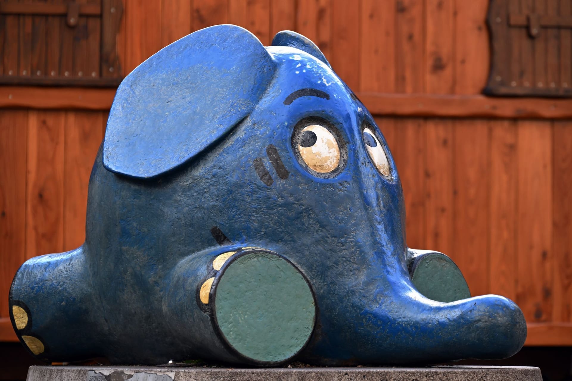 Der kleine Elefant wird 50