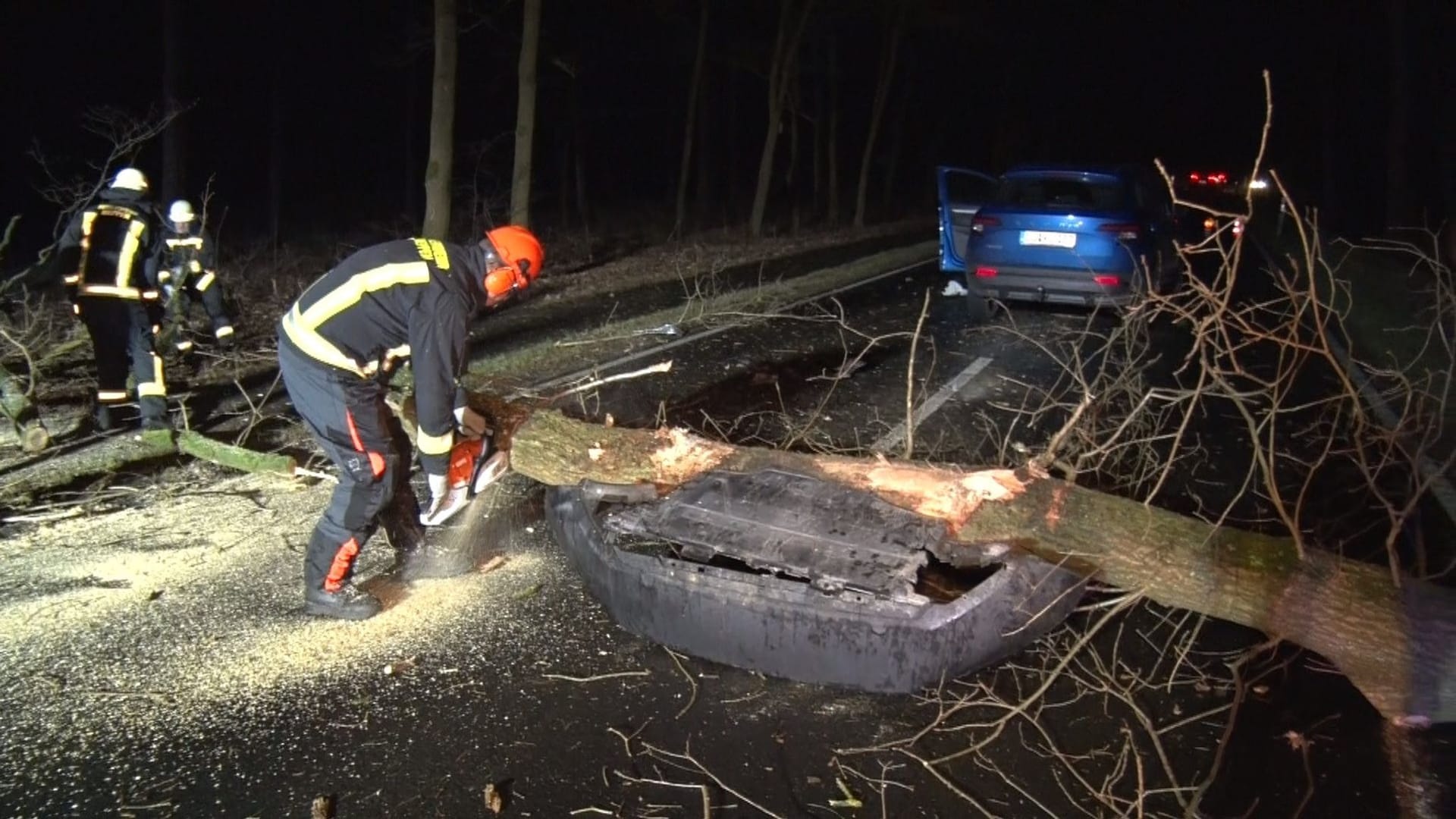 Autounfall mit umgestürztem Baum