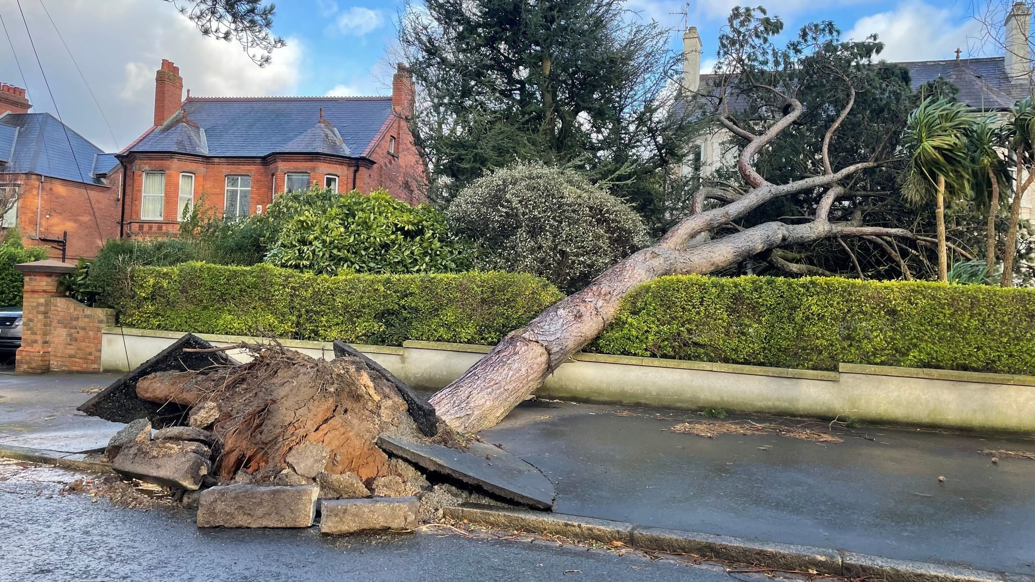 Ein Baum ist beim Sturm auf ein Haus und einen Garten im Osten von Belfast gestürzt: Der Sturm fegt derzeit über Irland und Großbritannien.