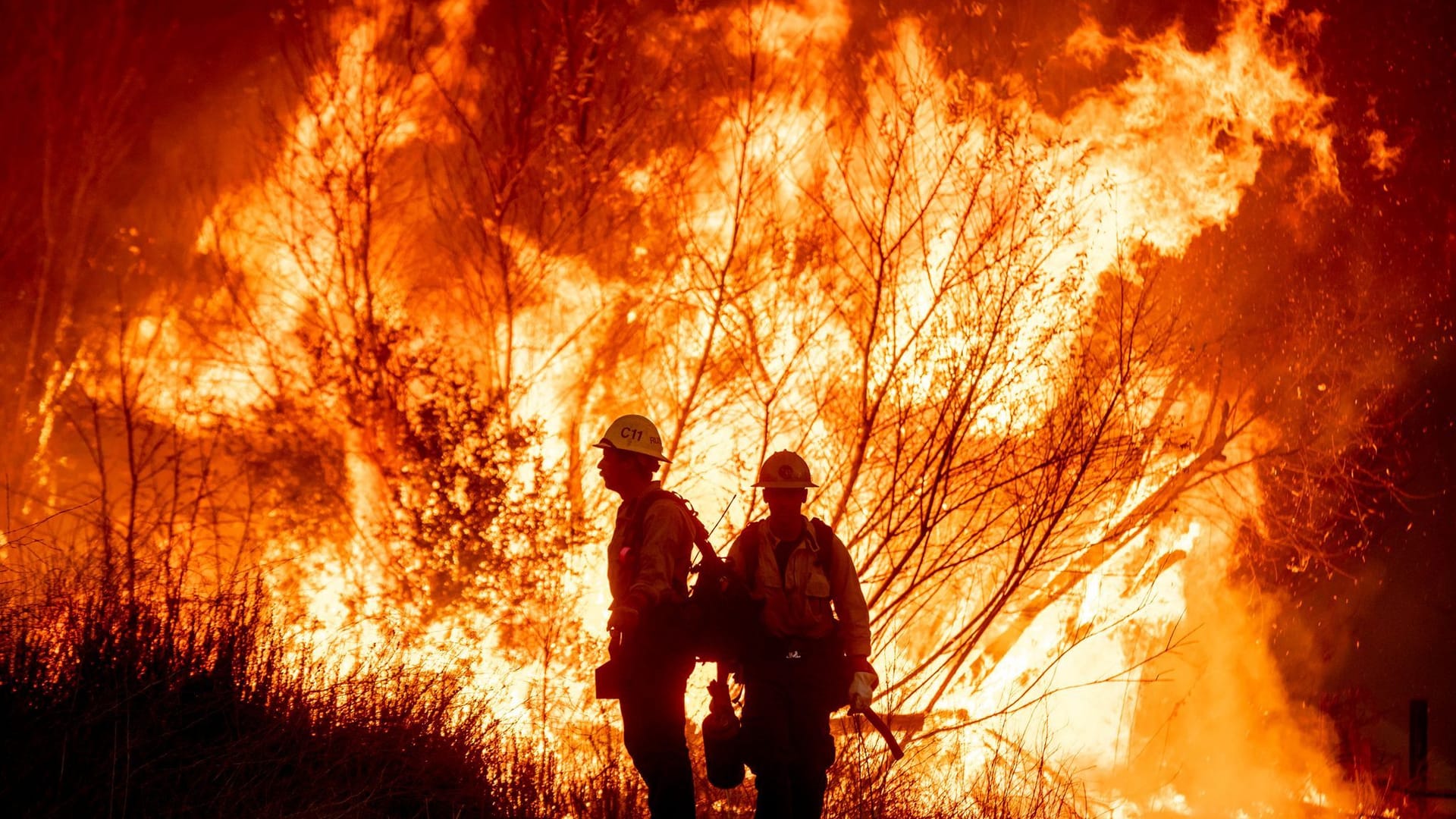 Feuerwehrleute bekämpfen das Kenneth-Feuer im Stadtteil West Hills von Los Angeles. Der Klimawandel begünstigt Waldbrände.