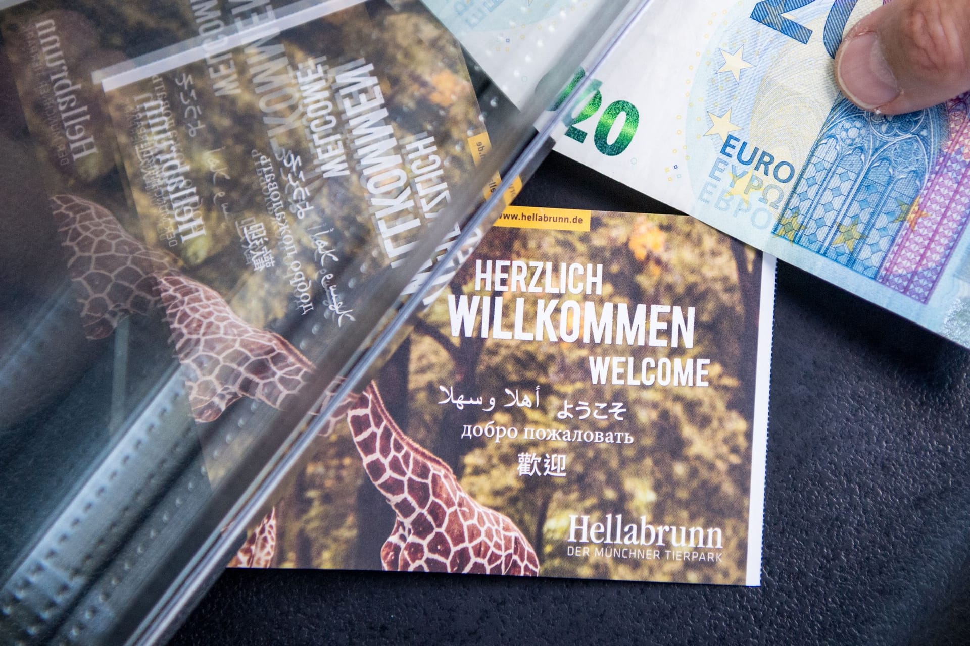 Ticketverkauf im Tierpark Hellabrunn (Symbolfoto): Ab dem 1. Februar wird es hier teurer.