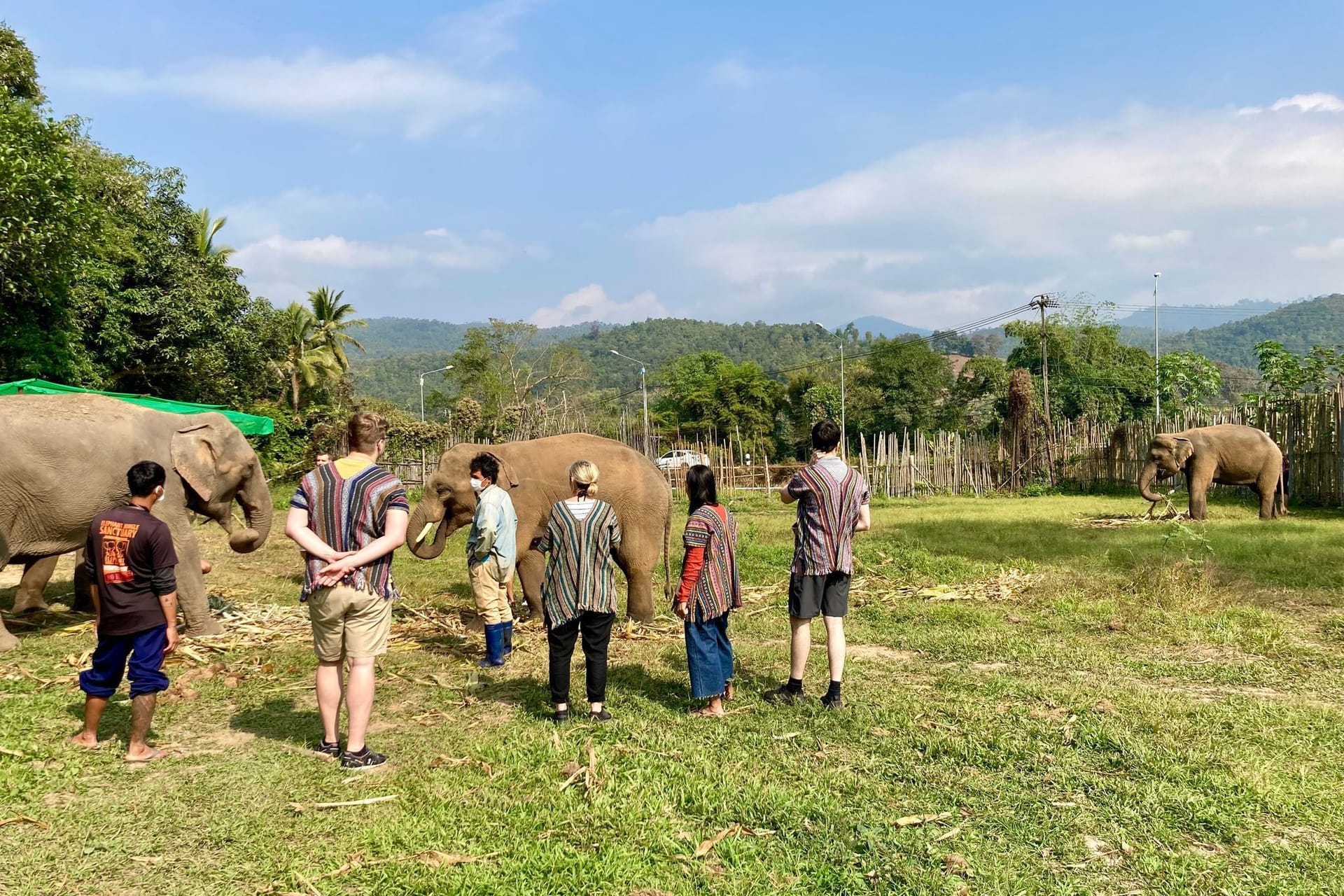 Elefantencamps in Thailand