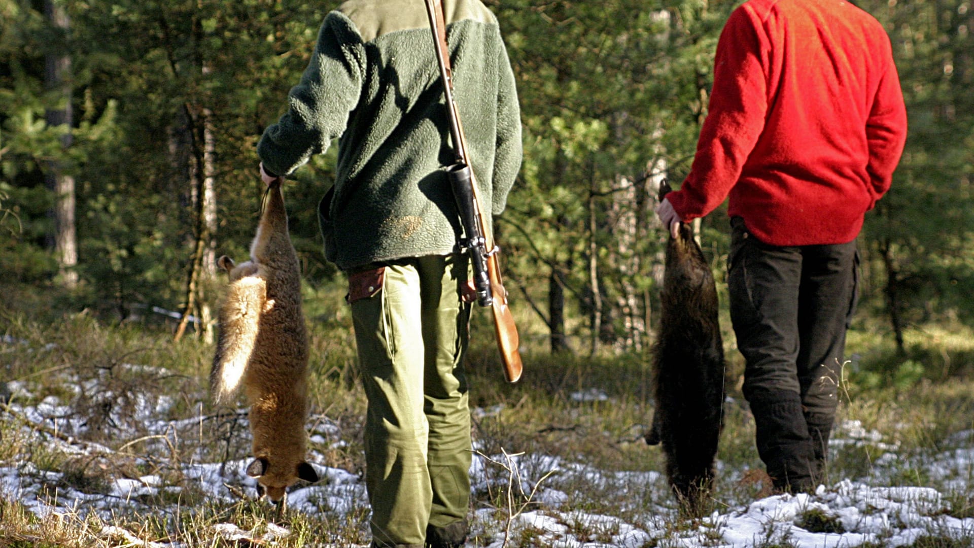 Jäger mit toten Füchsen (Symbolbild): Die Tiere werden am Ende zur Schau gestellt.