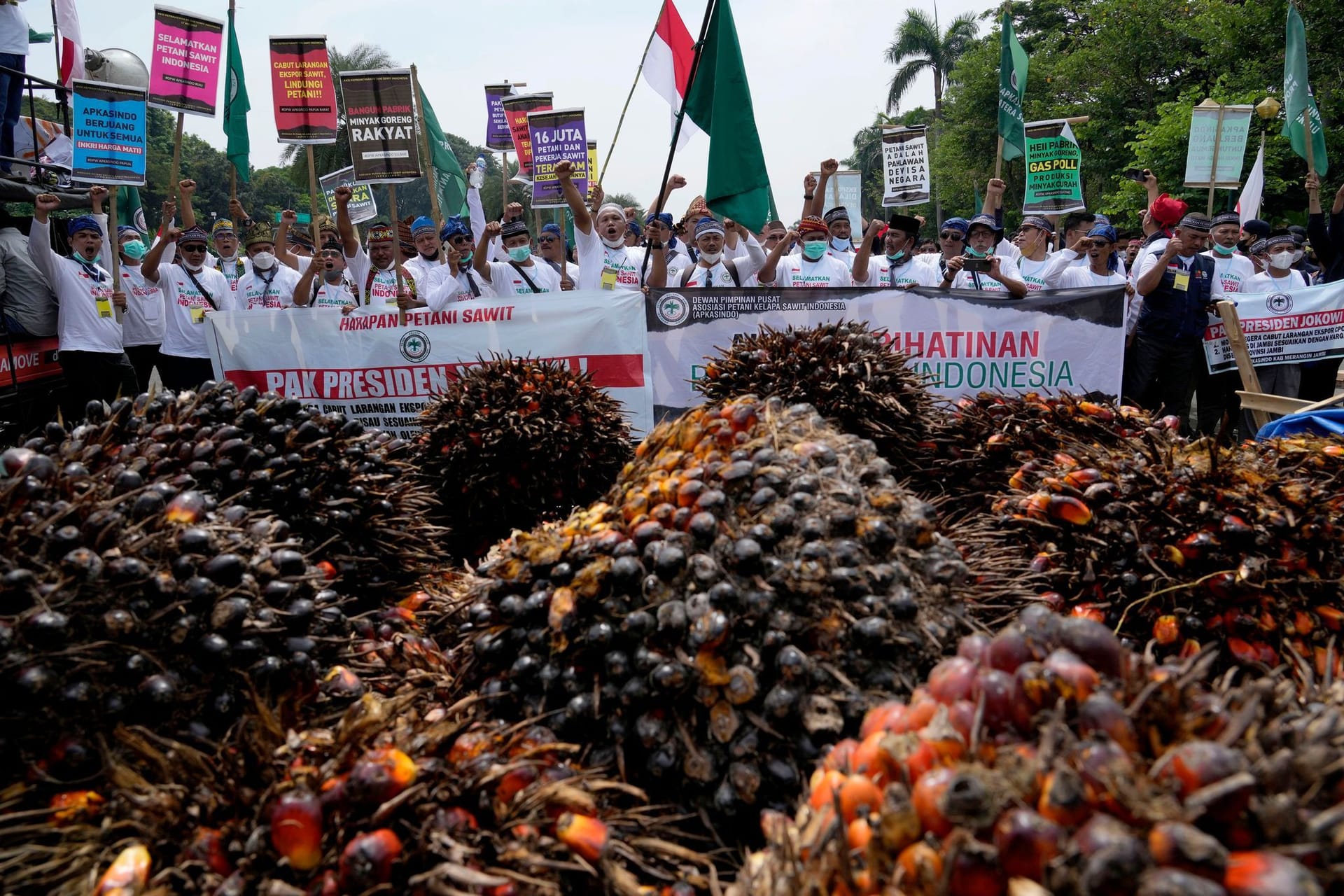 Protest gegen Palmöl-Exportverbot in Indonesien