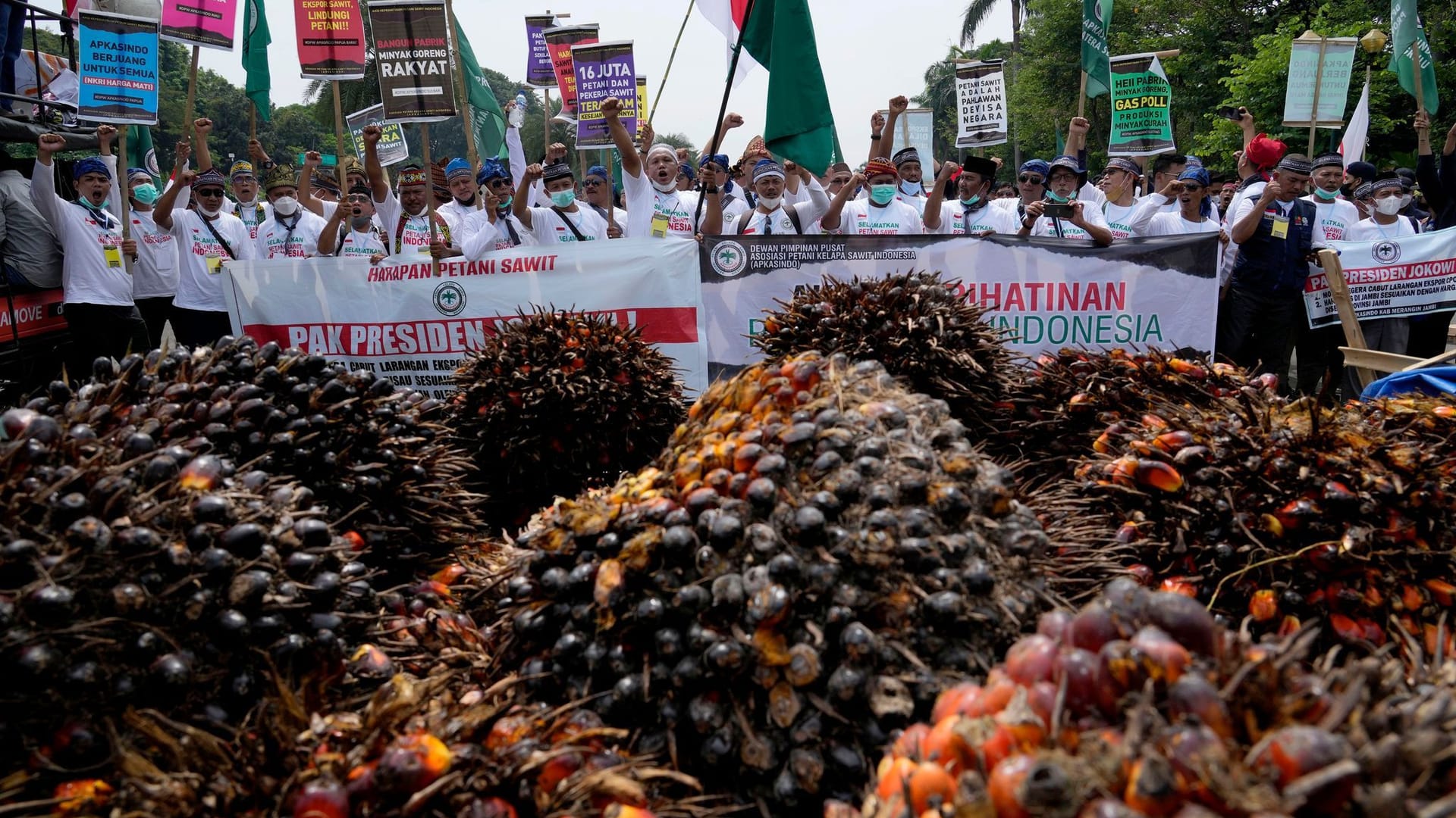 Protest gegen Palmöl-Exportverbot in Indonesien