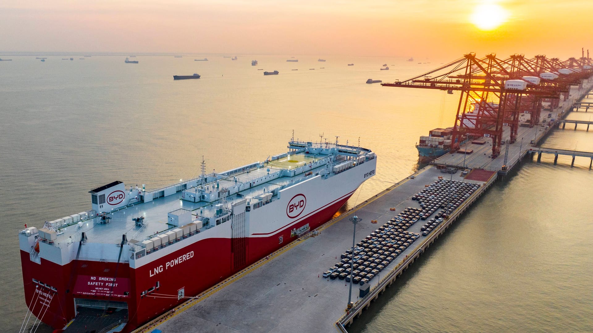 Fahrzeuge des chinesischen Herstellers BYD werden am Hafen Haitong verladen.