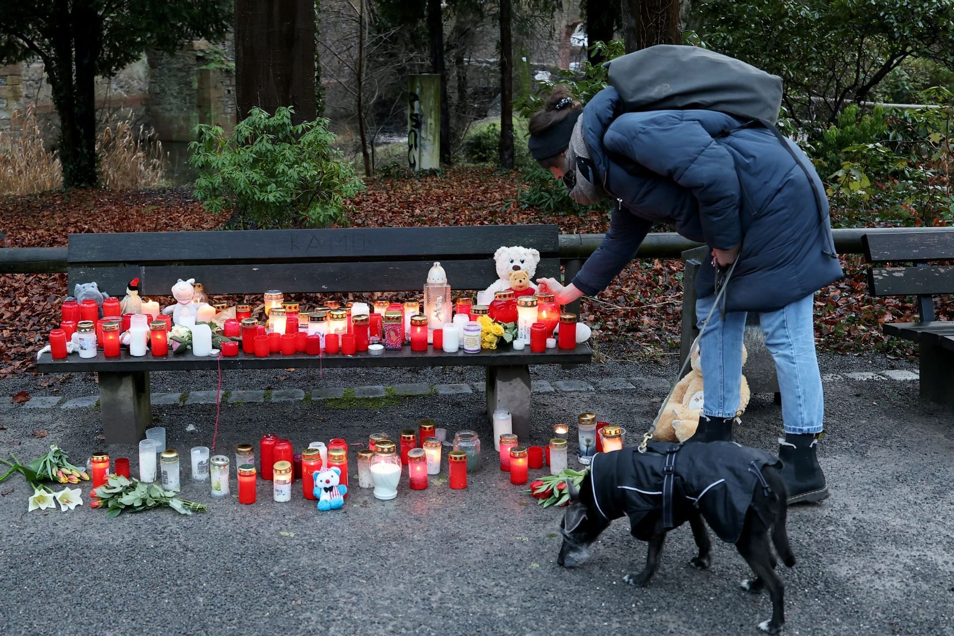 urn:newsml:dpa.com:20090101:250123-911-004452