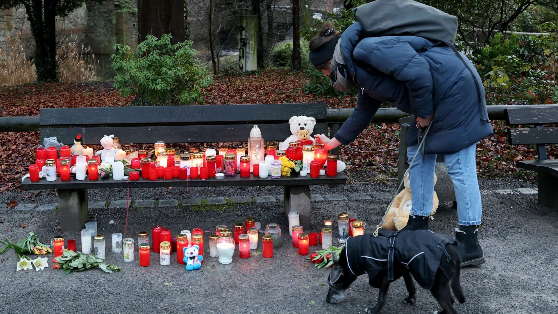 urn:newsml:dpa.com:20090101:250123-911-004452
