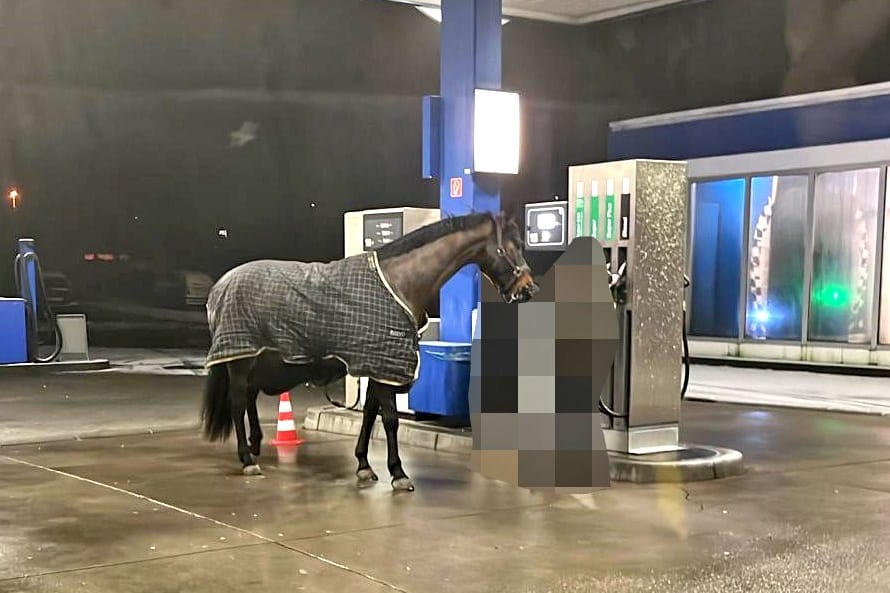 Das gestohlene Pferd stand an einer Tankstelle in Meinerzhagen: Eine Frau war mit dem Tier durch die Nacht gelaufen.