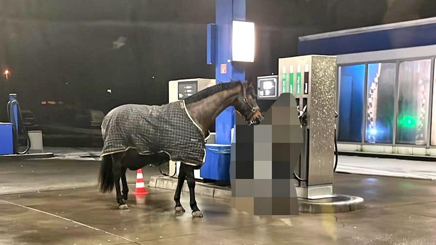 Das gestohlene Pferd stand an einer Tankstelle in Meinerzhagen: Eine Frau war mit dem Tier durch die Nacht gelaufen.