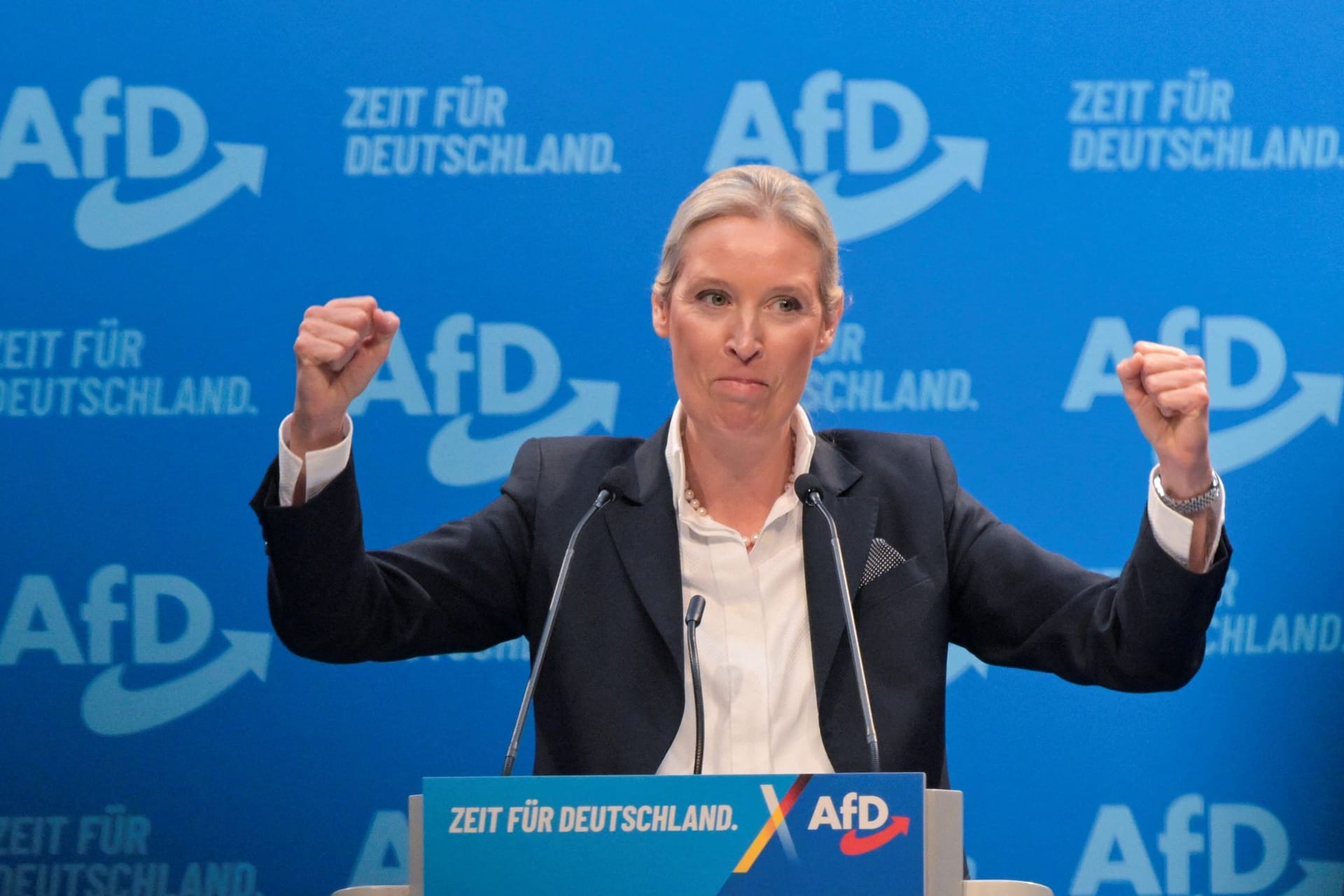 Alice Weidel: Sie ist Kanzlerkandidatin der AfD.