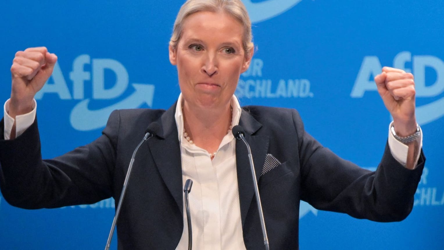 Alice Weidel: Sie ist Kanzlerkandidatin der AfD.