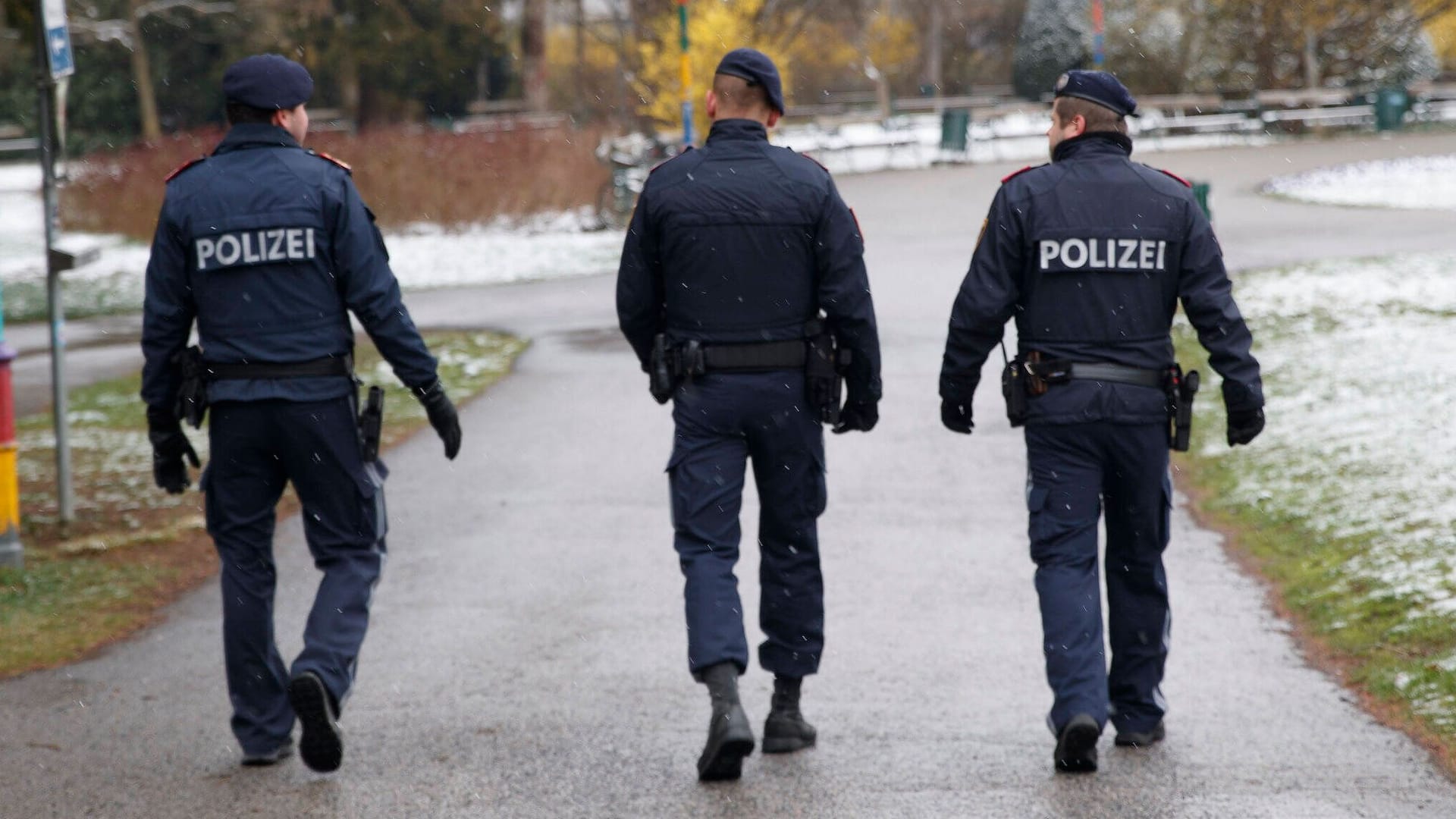 Polizisten in Graz (Archivbild): Die Ermittler suchen den Täter mit Hochdruck.