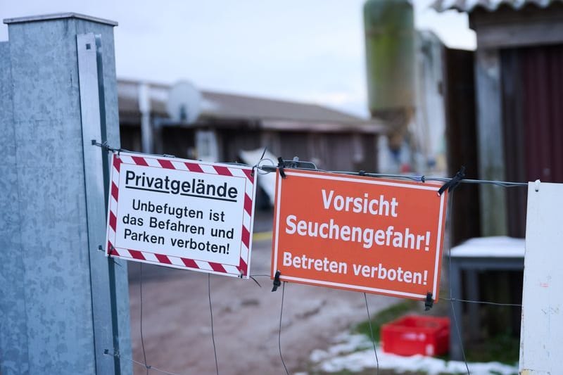 „Vorsicht Seuchengefahr!“ Steht auf einem Schild an einem Betrieb (Archivbild):