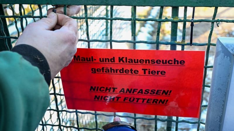 Mitarbeiter bringen am Tierhof Alt-Marzahn Schilder an, die auf die durch die Maul- und Klauenseuche gefährdeten Tiere hinweisen.