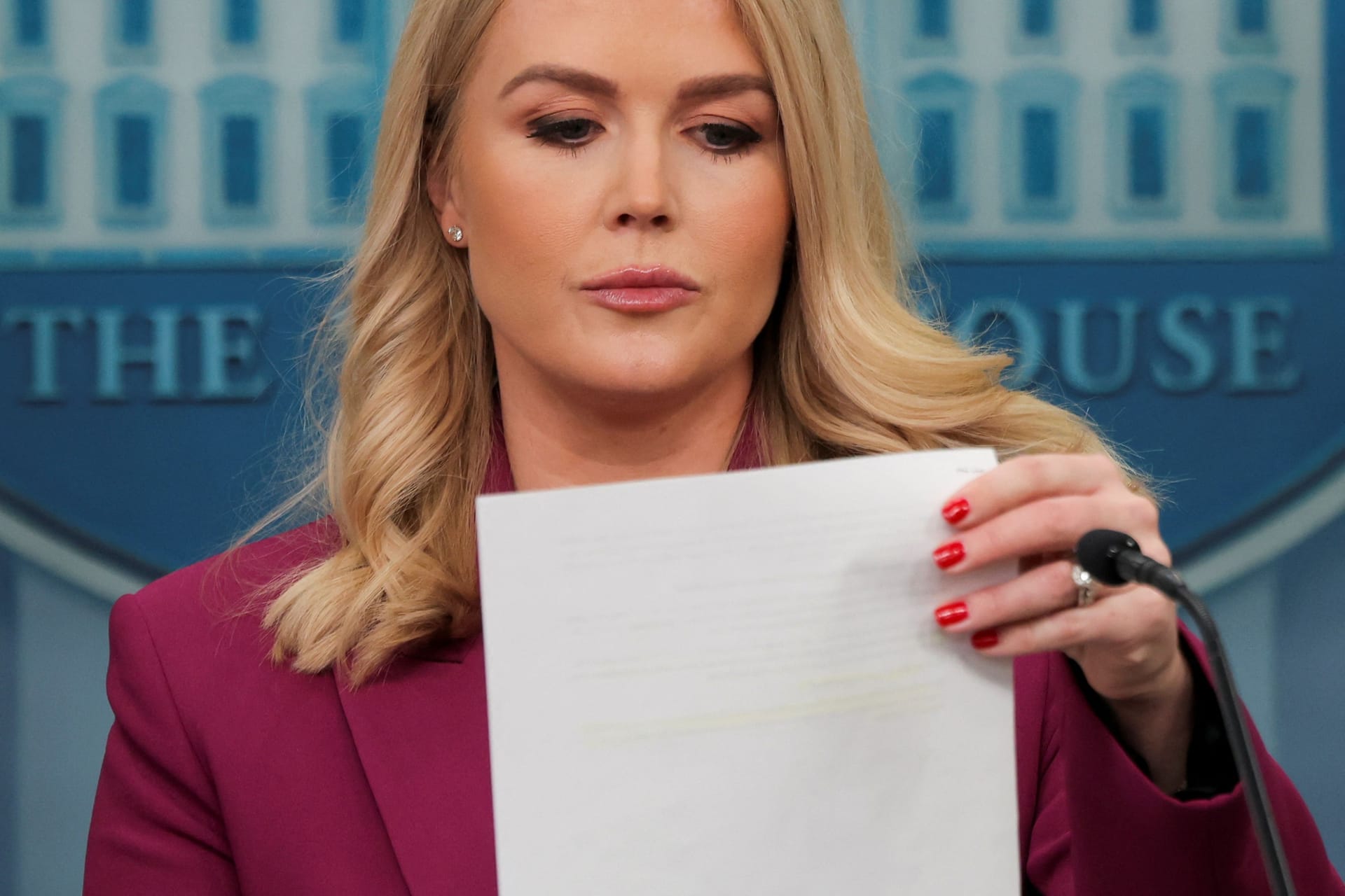 Karoline Leavitt, Sprecherin des Weißen Hauses, nannte die Ausgaben "grünen Betrug".