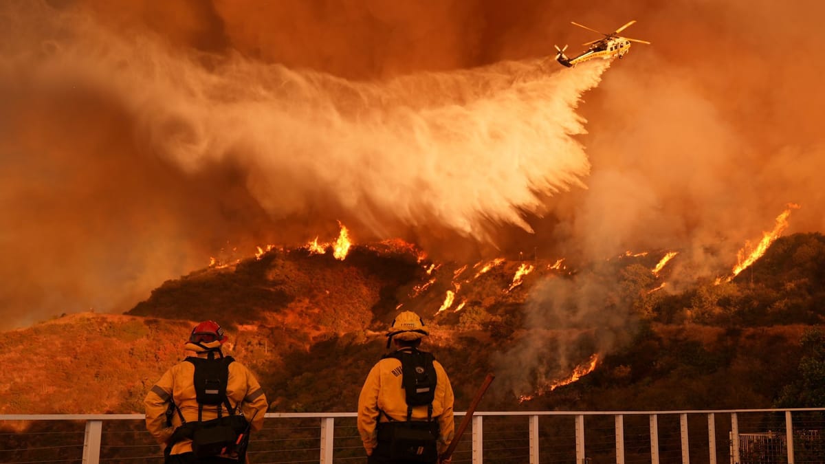 Hollywood-Stars unterstützen bei der Löscharbeit: Superstars helfen beim Wiederaufbau nach dem Feuer-Inferno