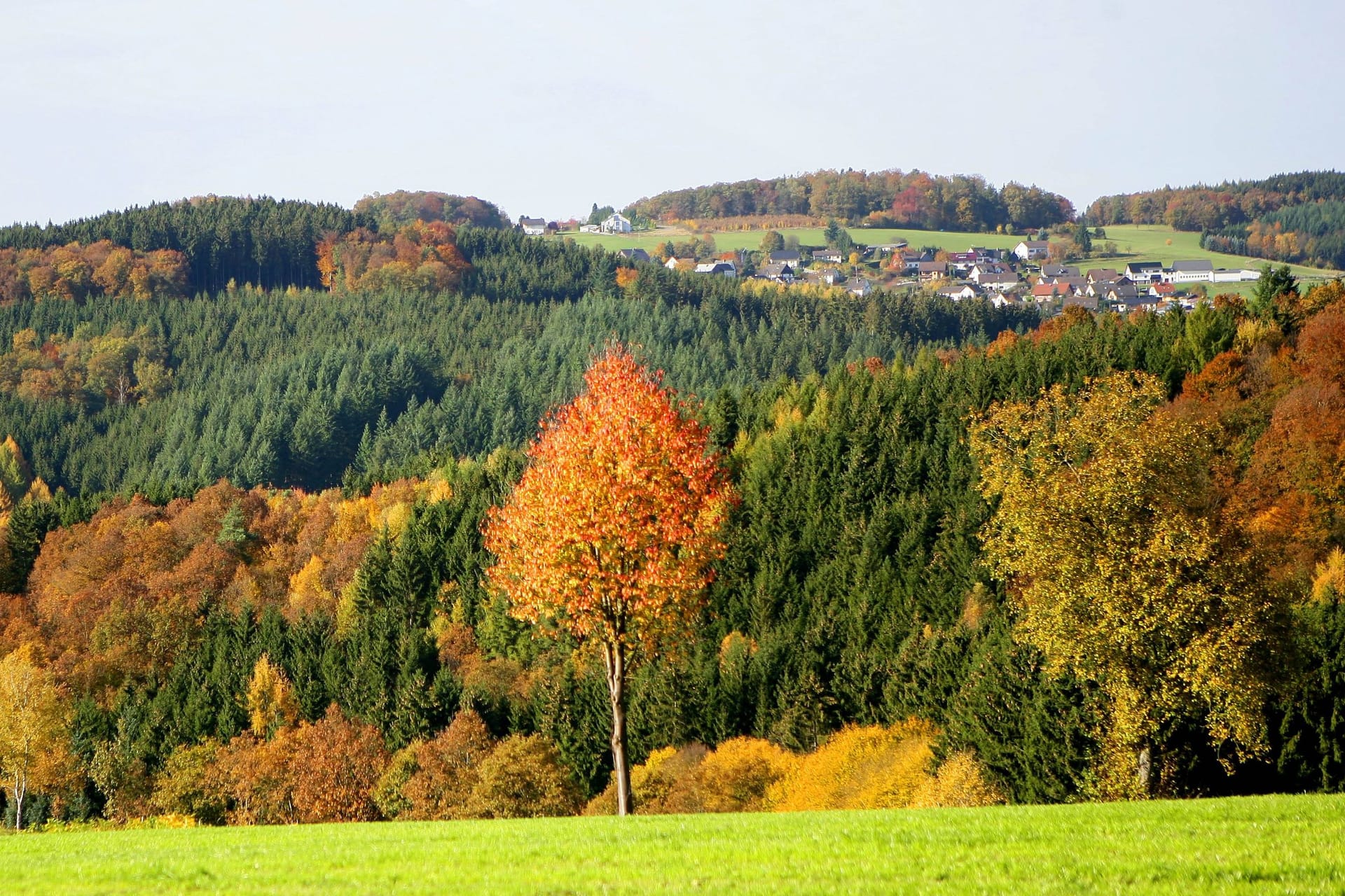 Ein Blick auf die malerische Landschaft von Morsbach (Archivbild): Neben Rom erreichen Wanderer und Radfahrer auch die Ortschaft Holpe.