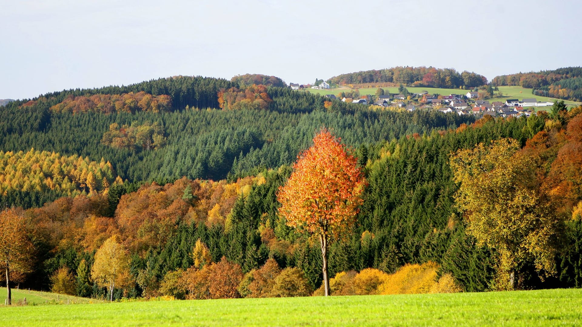 Ein Blick auf die malerische Landschaft von Morsbach (Archivbild): Neben Rom erreichen Wanderer und Radfahrer auch die Ortschaft Holpe.