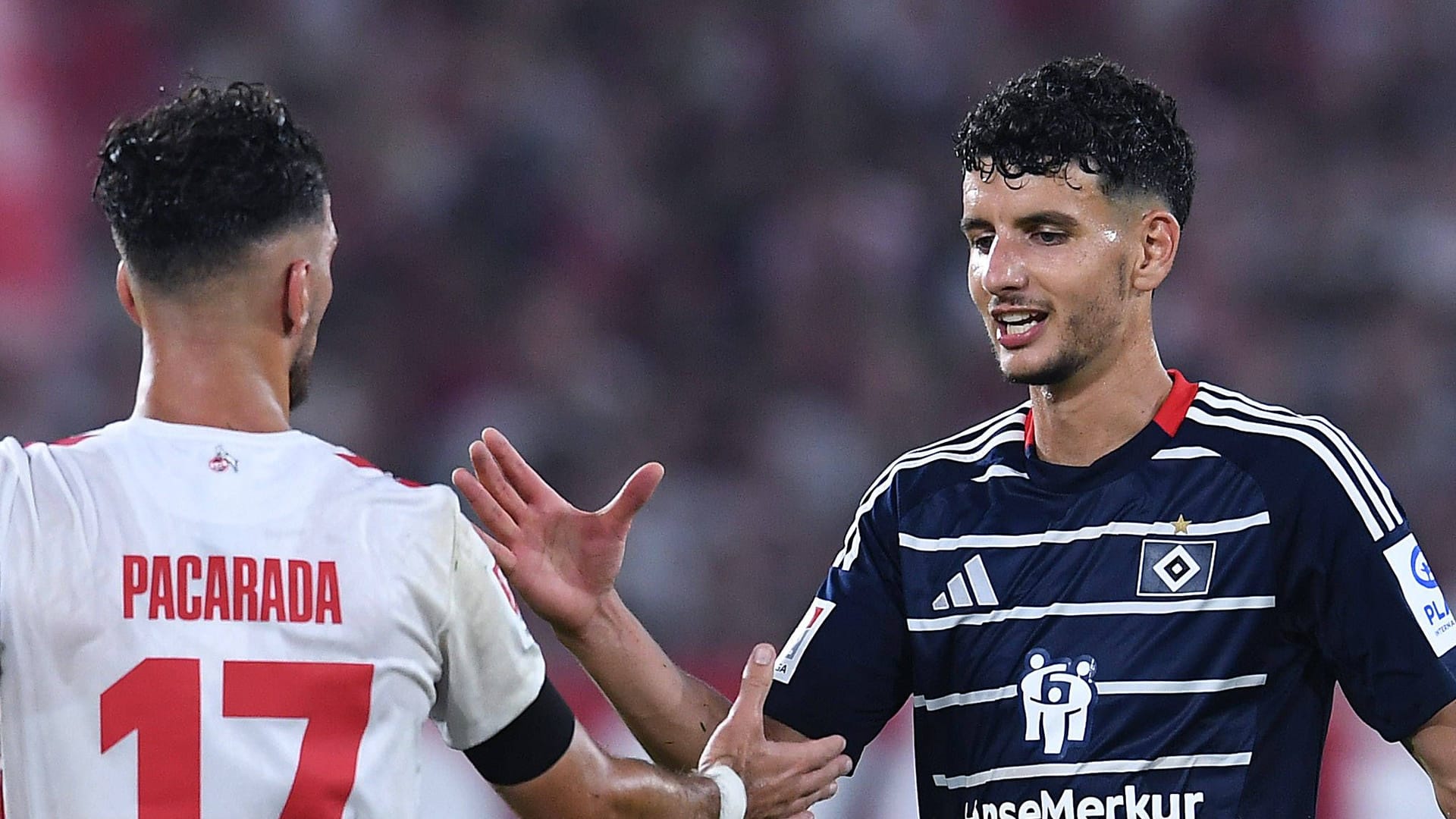 Kölns Leart Pacarada und Hamburgs Daniel Elfadli (Archivbild): Das Hinspiel in Köln konnte der HSV mit 1:2 für sich entscheiden.