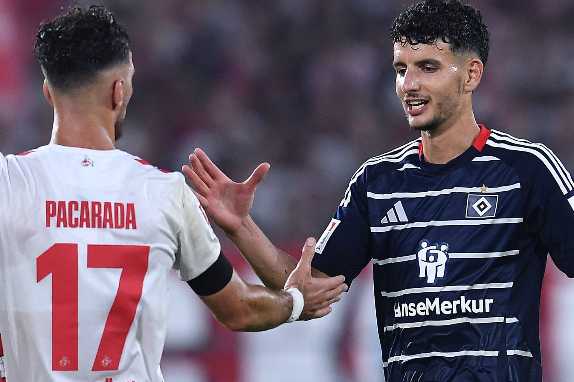 Kölns Leart Pacarada und Hamburgs Daniel Elfadli (Archivbild): Das Hinspiel in Köln konnte der HSV mit 1:2 für sich entscheiden.