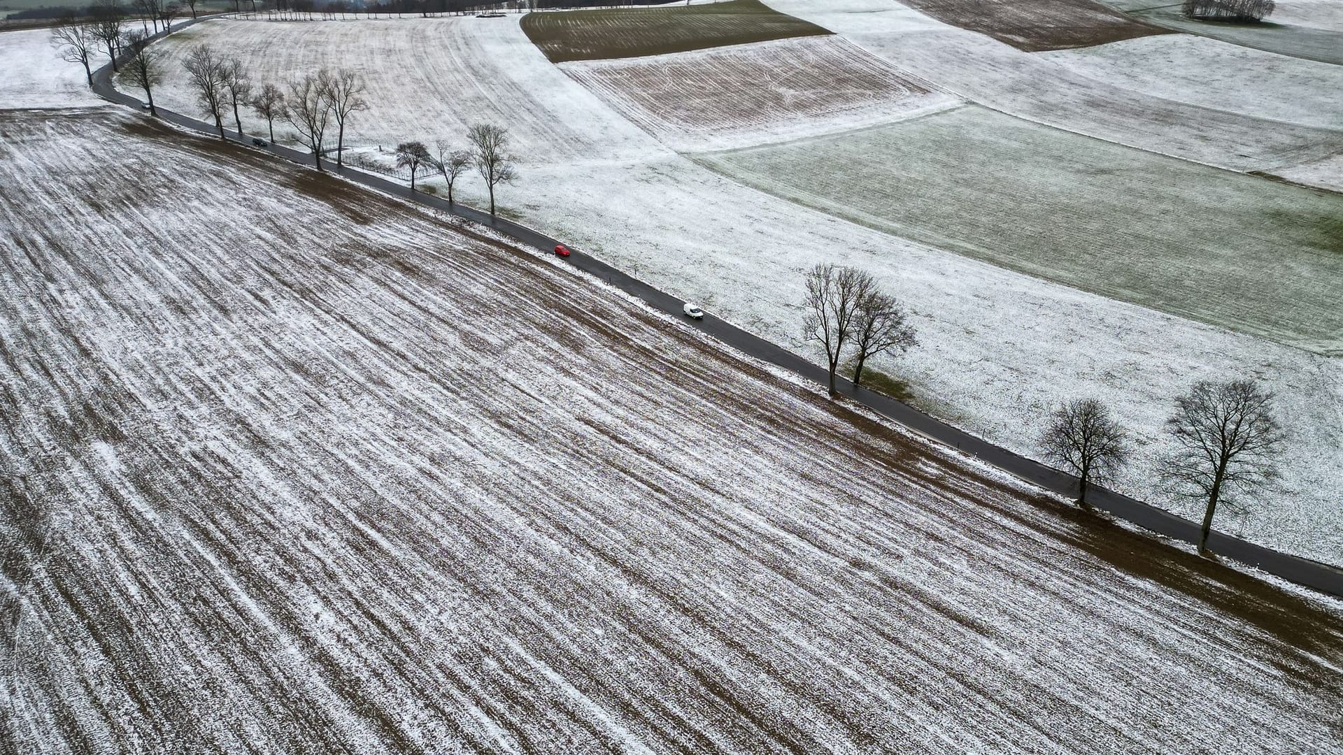 Milder Januar in Sachsen