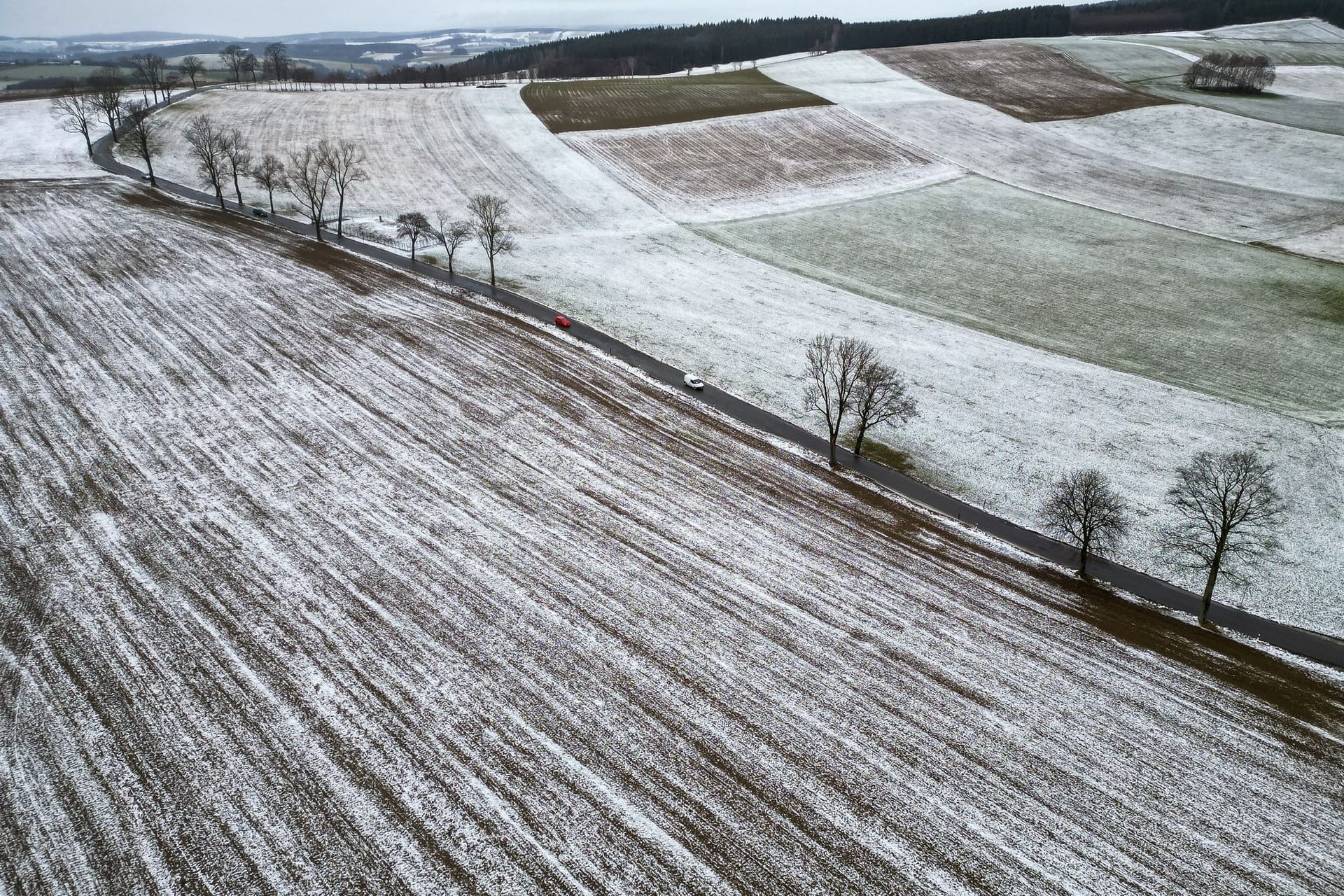 Milder Januar in Sachsen