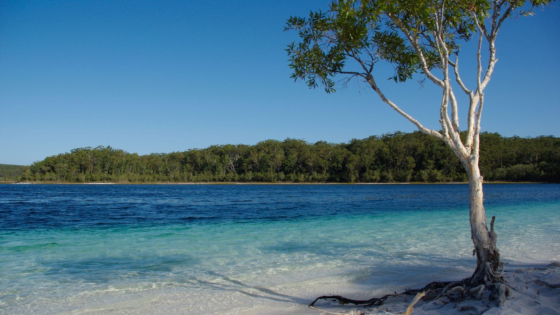 Trauminsel K'gari (früher Fraser Island)